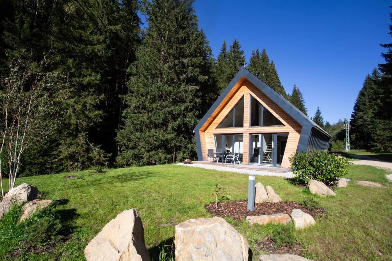 Chalet Belveder Zelezna Ruda Martina Экстерьер фото